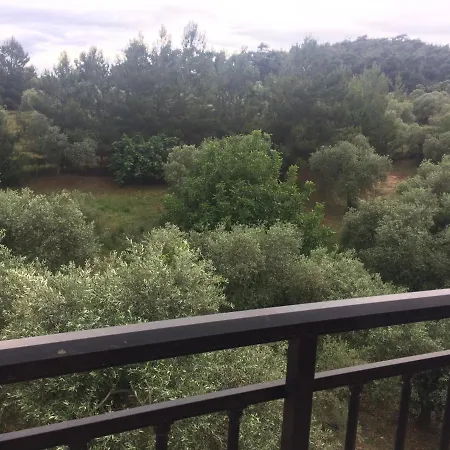 Sofia Holiday home *